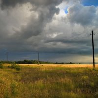 "Август. Столбы на краю поля"© :: Владимир Макаров