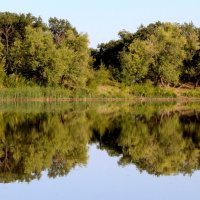 Ерикъ Гнилой :: Олегъ Петрович