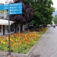 Меран/Мерано в Южном Тироле, Италия – один из самых красивых городов альпийского региона. :: "The Natural World" Александер