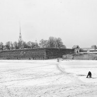 Зима в Питере :: Дмитрий 