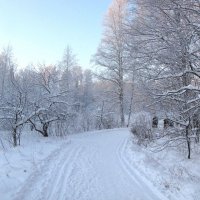 В голубых тонах :: Александр Ильчевский 