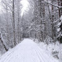 Зимнее :: Александр Ильчевский 