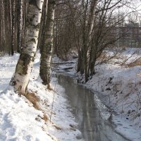 В предчувствии весны :: Александр Ильчевский 