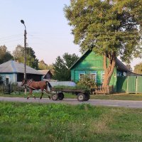 Картинки деревенской жизни. :: Ольга 