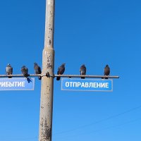 Зал ожидания. :: Ольга 