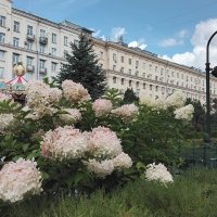 В Москве, на площади Тверской :: Дмитрий Никитин