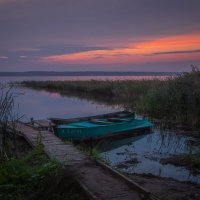 **** :: Елизавета .