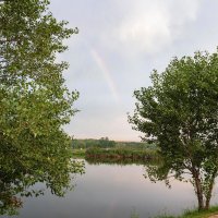 Утро на пруду :: Юрий Глаголистов