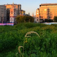 Вечер отдыха в Зарядье. :: Татьяна Помогалова