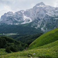 Фишт :: Сергей Сабешкин