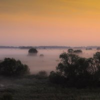 ...... :: Вадим Виловатый