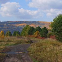 Дорога в осень . :: Вера Литвинова