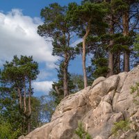 Деревья и скалы на Лаго-Наки :: Игорь Сикорский