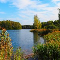 Природа Смоленщины в сентябре :: Милешкин Владимир Алексеевич 