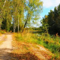 Почти золотая осень (репортаж из поездок по области). :: Милешкин Владимир Алексеевич 