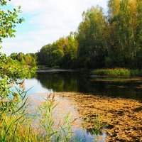 Смоленская осень :: Милешкин Владимир Алексеевич 