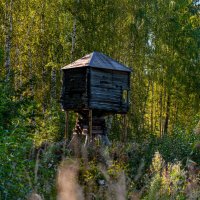 ветряные мельницы :: Дмитрий Лупандин