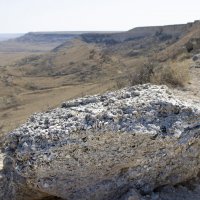 Ракушечник :: Галина Ильясова