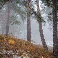 С наступлением осени мы ощущаем приближение предзимья. :: Вадим Басов