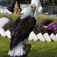 Тихо в парке. Вот и наступила осень. Сентябрь "The Natural World" :: "The Natural World" Александер