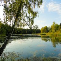 река Воря,Абрамцево :: Ольга 