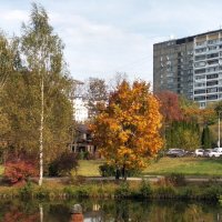 Осень в городе. :: Ольга Довженко