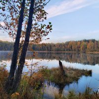 Утро на озере :: Денис Бочкарёв