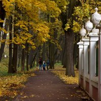 В осеннем парке. Кусково :: Любовь Р