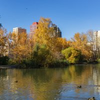 Фото. 2.10.2024.Екатеринбург.Золотая осень в Дендрарии на Мира.jpeg :: Михаил Пименов