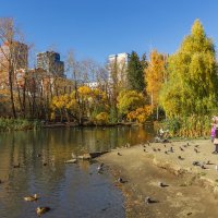 Фото. 2.10.2024.Екатеринбург.Золотая осень в Дендрарии на улице Мира.jpeg :: Михаил Пименов