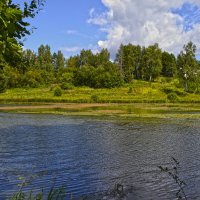 Абрамцево  р.Воря :: Ольга 