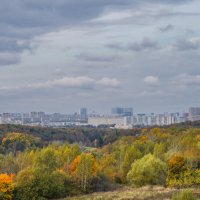 Московская осень... :: Владимир Жданов