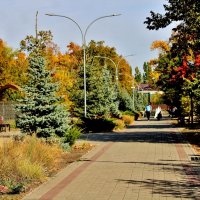 Тихими  аллеями  парка Победы. :: Восковых Анна Васильевна 