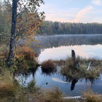 Баженовка :: Денис Бочкарёв