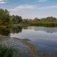 Осенний этюд :: Владимир Жуков