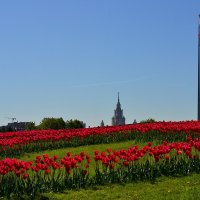 На Поклонной горе :: Александр Рыжов