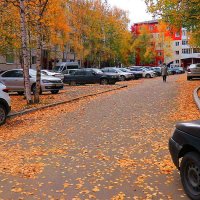 Осень...Засыпало двор палой листвой! :: Владимир 