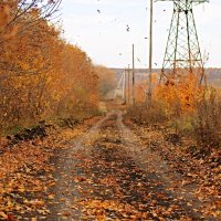 Листопад, листопад, не тревожь ты мне душу... :: Андрей Заломленков