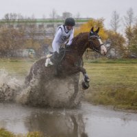 Первенство России,Первенство СФО по троеборью. Дисциплина кросс. :: Татьяна Титова