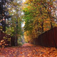 Осенний переулок :: Андрей Снегерёв