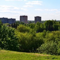 Вид из парка в сторону проспекта :: Александр Рыжов