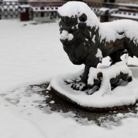 "Первый урок". :: Радмир Арсеньев