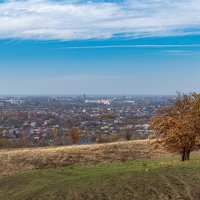 Окрестности города Армавир :: Игорь Сикорский