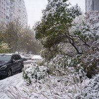 В Москве первый снег_2 :: Николай Галкин 