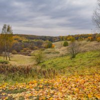 Октябрь в Царицыно... :: Владимир Жданов