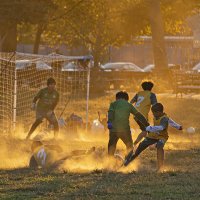 игра на закате или несколько мгновений октября. :: Petr @+