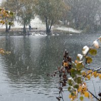 Снегопад. :: Владимир Безбородов