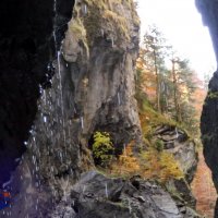 Осенний блюз, звучит в тиши.../Bayern Germany/ :: "The Natural World" Александер