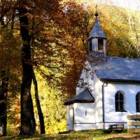 Осенний блюз, звучит в тиши.../Bayern Germany/ :: "The Natural World" Александер