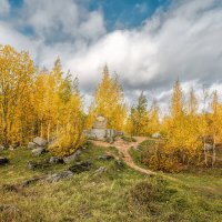 Про Питер :: Владимир Колесников